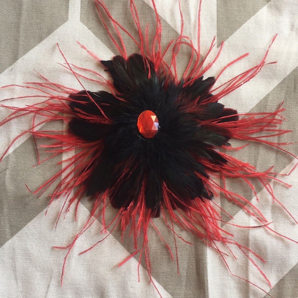 Costume feather hair clip!